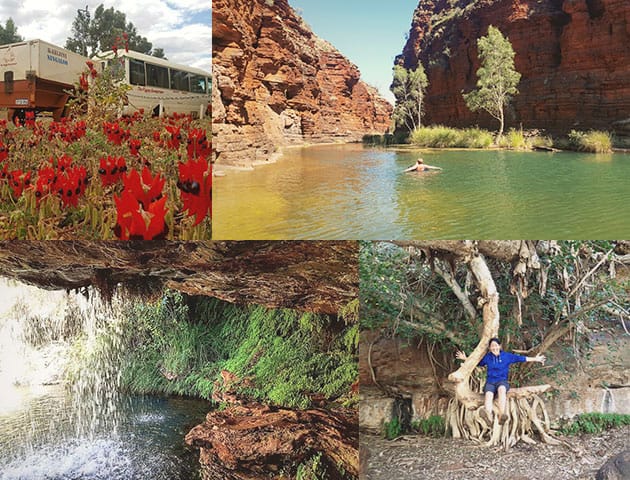 Tour Image